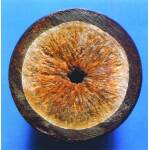 Siliphos - Image 3